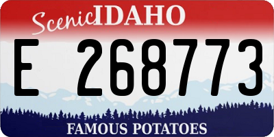 ID license plate E268773