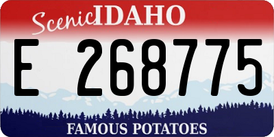 ID license plate E268775