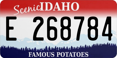 ID license plate E268784