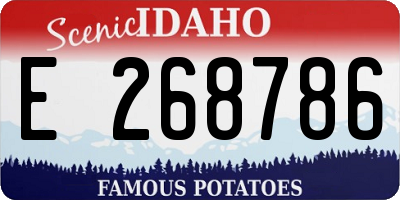 ID license plate E268786