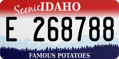 ID license plate E268788