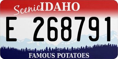 ID license plate E268791