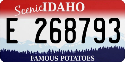ID license plate E268793