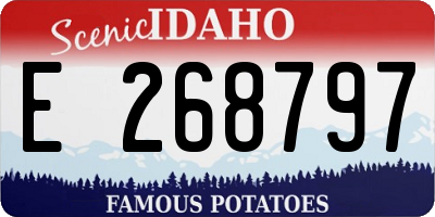 ID license plate E268797