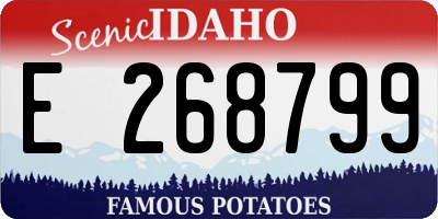 ID license plate E268799