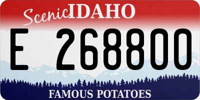 ID license plate E268800