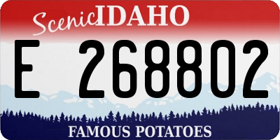 ID license plate E268802
