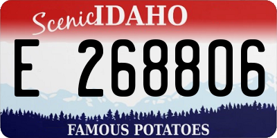 ID license plate E268806