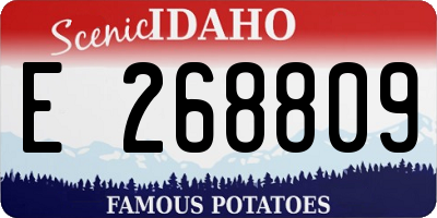ID license plate E268809