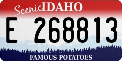 ID license plate E268813