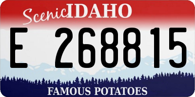ID license plate E268815