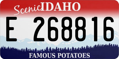 ID license plate E268816
