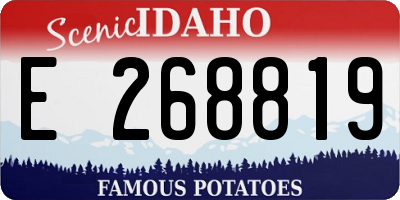 ID license plate E268819
