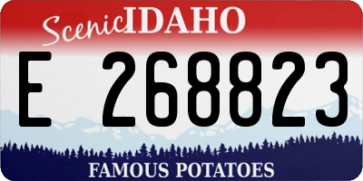 ID license plate E268823
