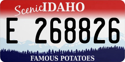 ID license plate E268826
