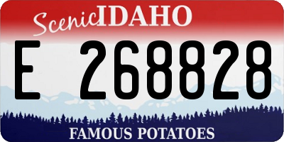 ID license plate E268828