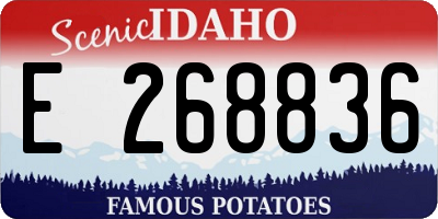 ID license plate E268836