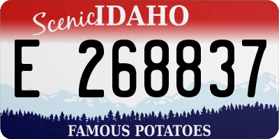 ID license plate E268837
