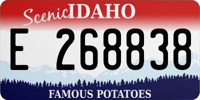 ID license plate E268838