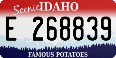 ID license plate E268839