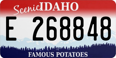 ID license plate E268848