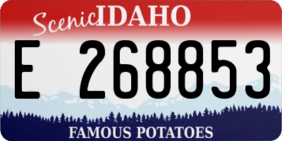 ID license plate E268853