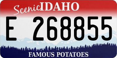 ID license plate E268855