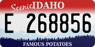 ID license plate E268856