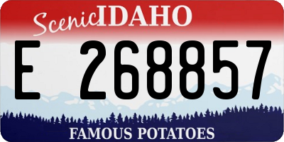 ID license plate E268857