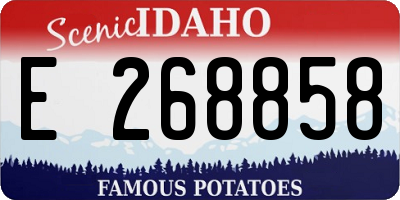 ID license plate E268858