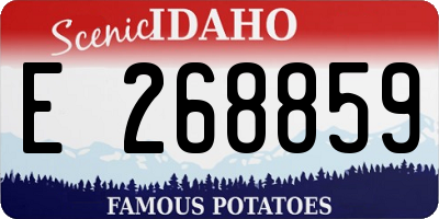 ID license plate E268859