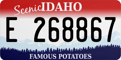ID license plate E268867
