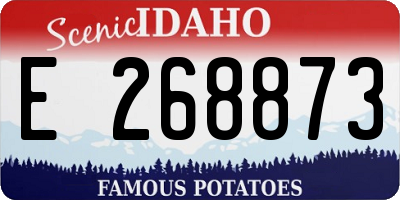 ID license plate E268873