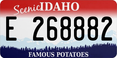 ID license plate E268882
