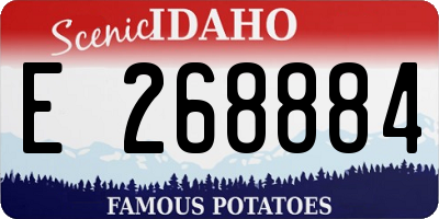 ID license plate E268884