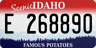 ID license plate E268890