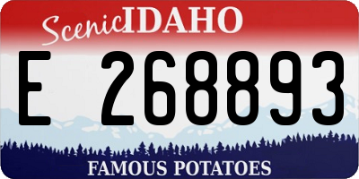 ID license plate E268893