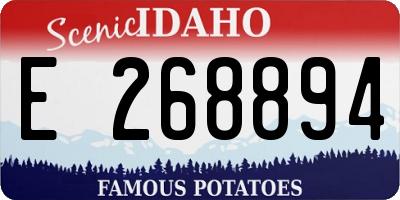 ID license plate E268894