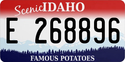 ID license plate E268896