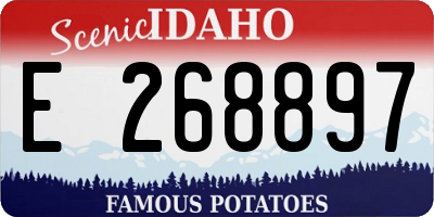 ID license plate E268897