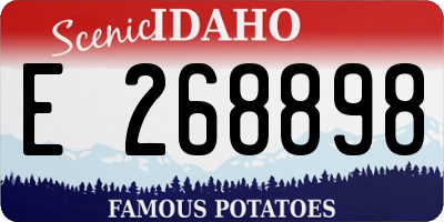 ID license plate E268898