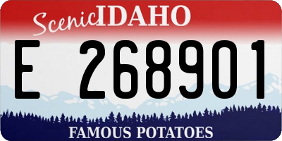 ID license plate E268901