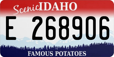 ID license plate E268906