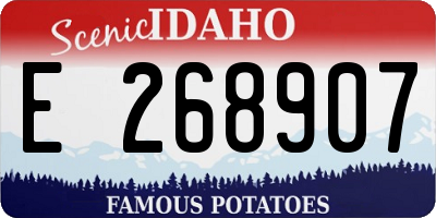 ID license plate E268907
