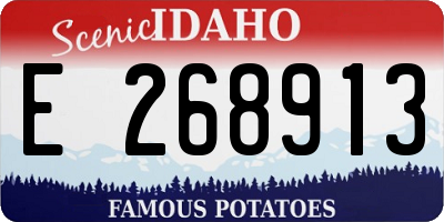 ID license plate E268913