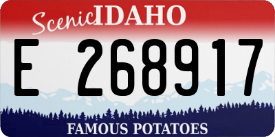 ID license plate E268917