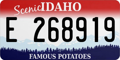 ID license plate E268919