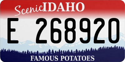 ID license plate E268920