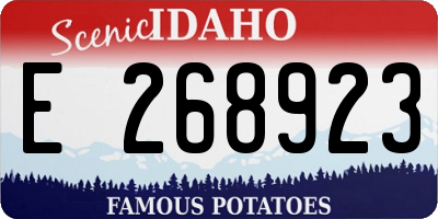 ID license plate E268923