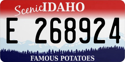 ID license plate E268924